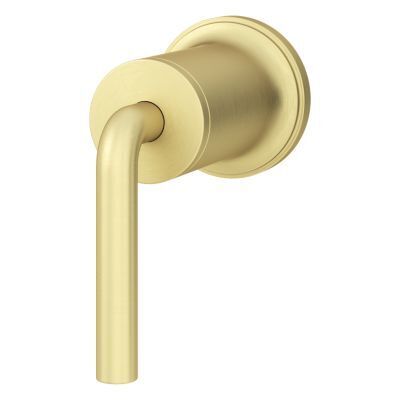 Pfister Brushed Gold Diverter Trim 016-TNT1BG