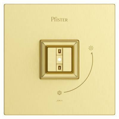 Pfister Brushed Gold Shower Valve Only Trim Without Handles