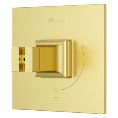 Pfister Brushed Gold Shower Valve Only Trim Without Handles