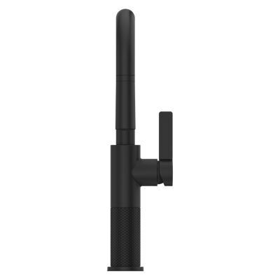 Pfister Matte Black 1-handle Pull-down Kitchen Faucet