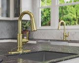 Pfister Brushed Gold 1-handle Pull-down Bar/prep Kitchen Faucet