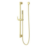 Pfister Brushed Gold Handheld Shower With Slide Bar