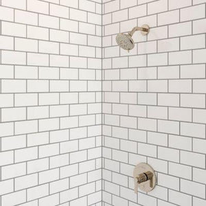 Pfister Polished Nickel 1-handle Tub & Shower Trim R897-COLD