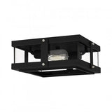 Quoizel QFL5347EK Beck Flushmount 2 lights earth black Flush Mount