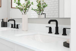 Pfister Matte Black 2-handle 8" Widespread Bathroom Faucet LG49-COL0B