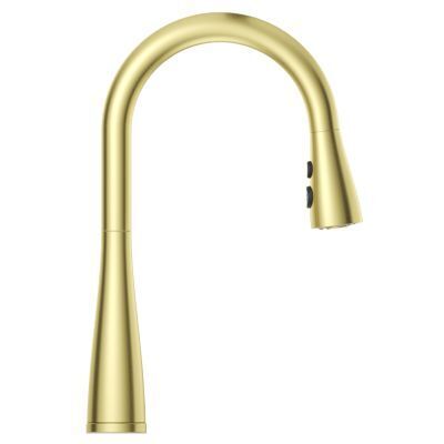 Pfister Brushed Gold Pull-down Kitchen Faucet