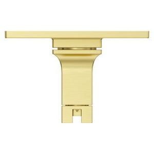 Pfister Brushed Gold Shower Valve Only Trim Without Handles R89-1VRVBG