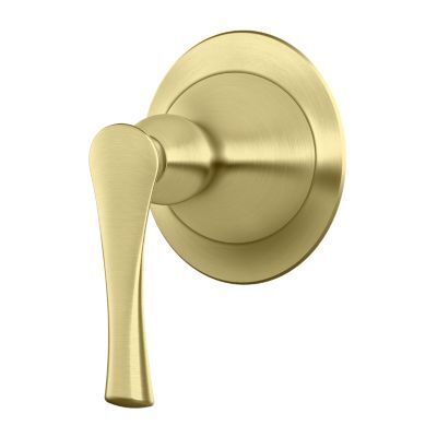 Pfister Brushed Gold Diverter Trim 016-RH1BG