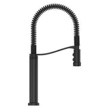 Pfister Matte Black Culinary Kitchen Faucet