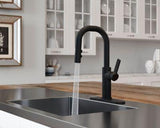 Pfister Matte Black 1-handle Pull-down Bar/prep Kitchen Faucet