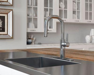Pfister Polished Chrome 1-handle Pull-down Bar/prep Kitchen Faucet GT572-MTC