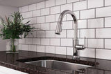 Pfister Polished Chrome 1-handle Pull-down Kitchen Faucet