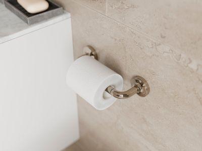 Pfister Polished Nickel Paper Holder BPH-TNTD