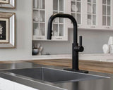 Pfister Matte Black 1-handle Pull-down Kitchen Faucet