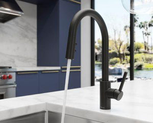 Pfister Black Stellen 1-handle Pull Down Kitchen Faucet LG529-SAB