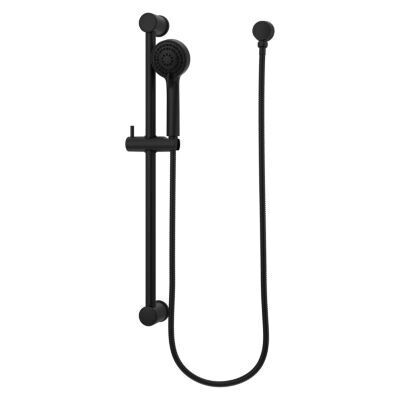 Pfister Matte Black Ada Handheld Shower With Slide Bar