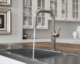 Pfister Stainless Steel 1-handle Pull-down Kitchen Faucet