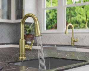 Pfister Brushed Gold 1-handle Pull-down Bar/prep Kitchen Faucet GT572-TDBG