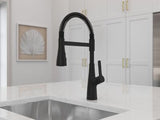 Pfister Matte Black Culinary Kitchen Faucet