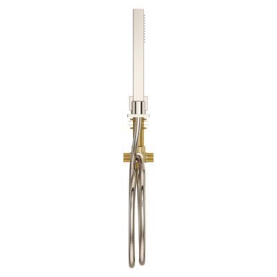 Pfister Polished Nickel Roman Tub Handshower With Diverter LG16-VRVD
