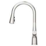 Pfister Stainless Steel Pull-down Kitchen Faucet