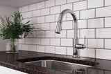 Pfister Polished Chrome 1-handle Pull-down Kitchen Faucet