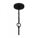 Quoizel COX5030MBK Cox Chandelier 10 lights matte black Chandelier