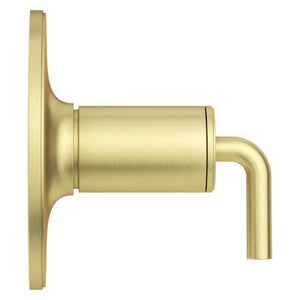 Pfister Brushed Gold 1-handle Tub & Shower Valve Only Trim R89-1TNTBG