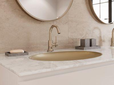 Pfister Polished Nickel Single Control Bathroom Faucet LG42-TNT2D