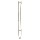 Pfister Polished Nickel Handheld Shower With Slide Bar