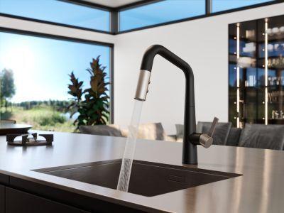Combo-matte Black and Spot Defense Stainless Steel 1-handle PULL-DO... GT529-ASRBGS