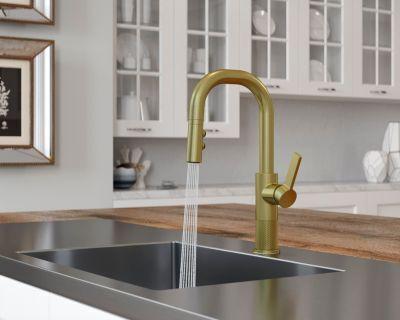 Pfister Brushed Gold 1-handle Pull-down Bar/prep Kitchen Faucet