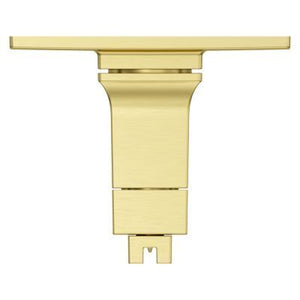 Pfister Brushed Gold Trim Kit for Thermostatic Shower R89-VRVBG