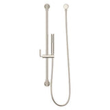 Pfister Polished Nickel Handheld Shower With Slide Bar