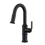 Gerber D150537SS Stainless Steel Kinzie Single Handle Pull-down Prep Faucet