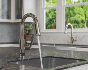 Pfister Polished Nickel 1-handle Pull-down Bar/prep Kitchen Faucet GT572-TDD