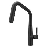 Pfister Matte Black 1-handle Pull-down Kitchen Faucet