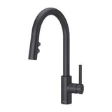 Pfister Black Stellen 1-handle Pull Down Kitchen Faucet