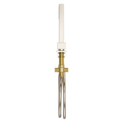 Pfister Polished Nickel Roman Tub Handshower With Diverter LG16-VRVD