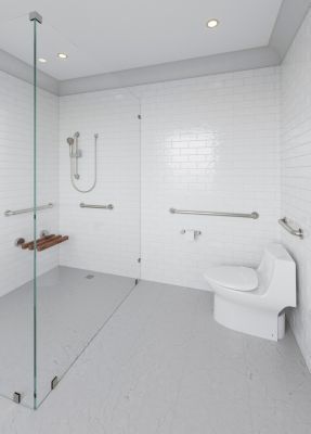 Brushed Nickel Pfister Handshower Only LG16-510K