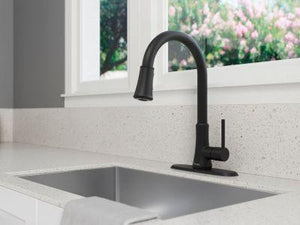 Pfister Matte Black 1-handle Pull-down Kitchen Faucet G529-PF2B
