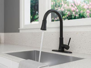 Pfister Matte Black 1-handle Pull-down Kitchen Faucet G529-PF2B