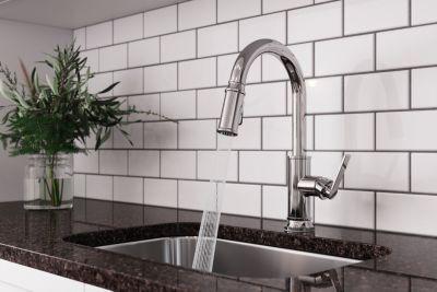 Pfister Polished Chrome 1-handle Pull-down Kitchen Faucet