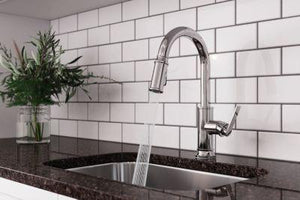 Pfister Polished Chrome 1-handle Pull-down Kitchen Faucet GT529-COLC