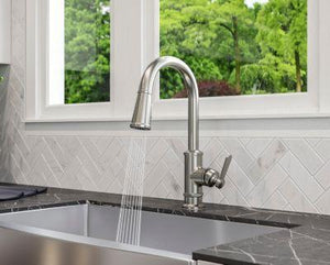 Pfister Stainless Steel 1-handle Pull-down Kitchen Faucet GT529-TDS