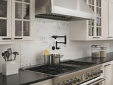 Lita 2-Handle 1-Hole Potfiller Kitchen Faucet in Matte Black