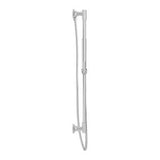 Pfister Polished Chrome Handheld Shower With Slide Bar