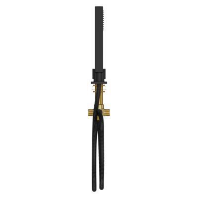 Pfister Matte Black Roman Tub Handshower With Diverter LG16-VRVB