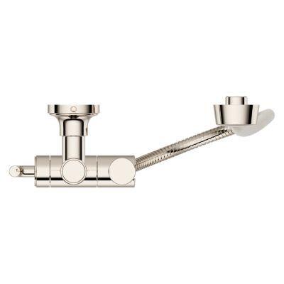 Pfister Polished Nickel Handheld Shower With Slide Bar