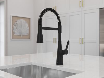 Pfister Matte Black Culinary Kitchen Faucet